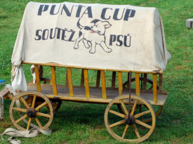 Puňta Cup Plzeň-Křimice