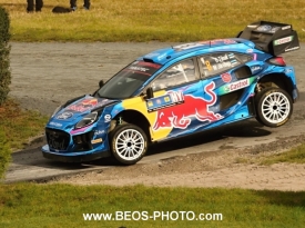 WRC - Central European Rallye